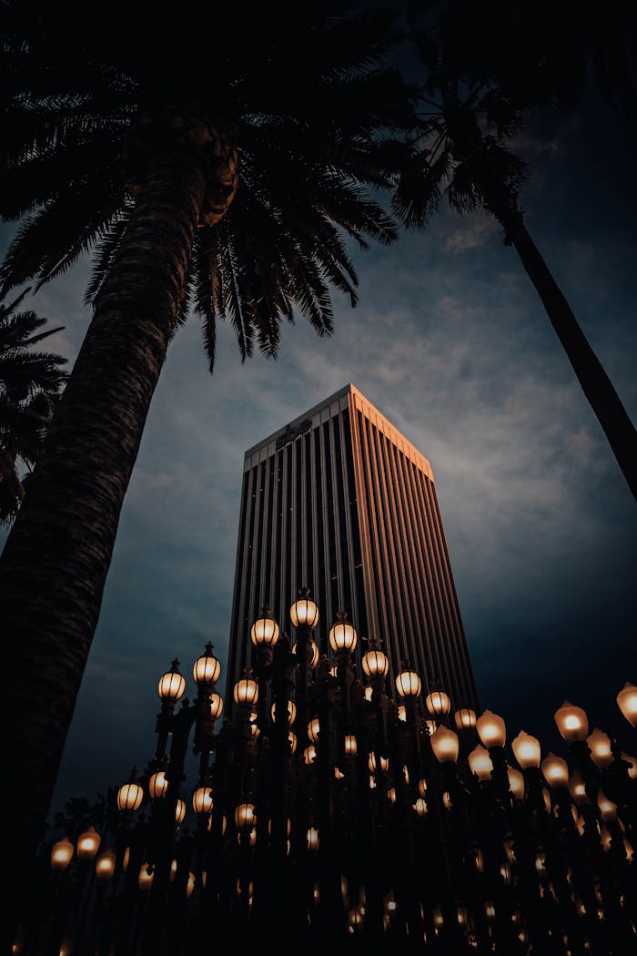Stunning night shot of LACMAs Urban Lights with skyscraper and palm trees in Los Angeles.